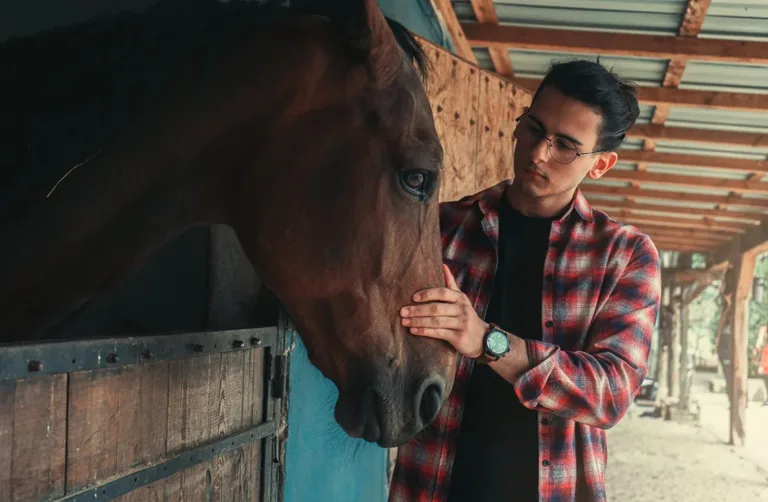 Equine veterinarian with a horse out in a field.