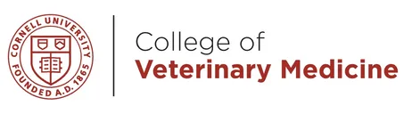 Cornell Vet